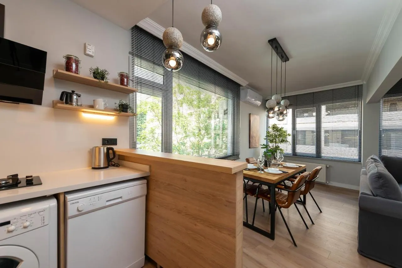 Apartmán G&B Mansion Istanbulská provincie Turecko